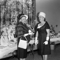 Twilight Haven Party